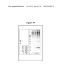 MAGNETIC NANOSTRUCTURES AS THERANOSTIC AGENTS diagram and image