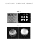 MAGNETIC NANOSTRUCTURES AS THERANOSTIC AGENTS diagram and image