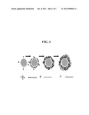 NANOCOATINGS FOR BIOLOGICAL MATERIALS diagram and image