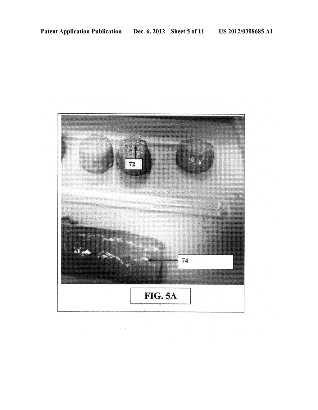 Gelated Crab Meat and Food Products Derived from Gelated Crab Meat - diagram, schematic, and image 06