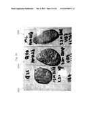 COEFFICIENT OF THERMAL EXPANSION FILLER FOR VANADIUM-BASED FRIT MATERIALS     AND/OR METHODS OF MAKING AND/OR USING THE SAME diagram and image