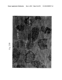 COEFFICIENT OF THERMAL EXPANSION FILLER FOR VANADIUM-BASED FRIT MATERIALS     AND/OR METHODS OF MAKING AND/OR USING THE SAME diagram and image