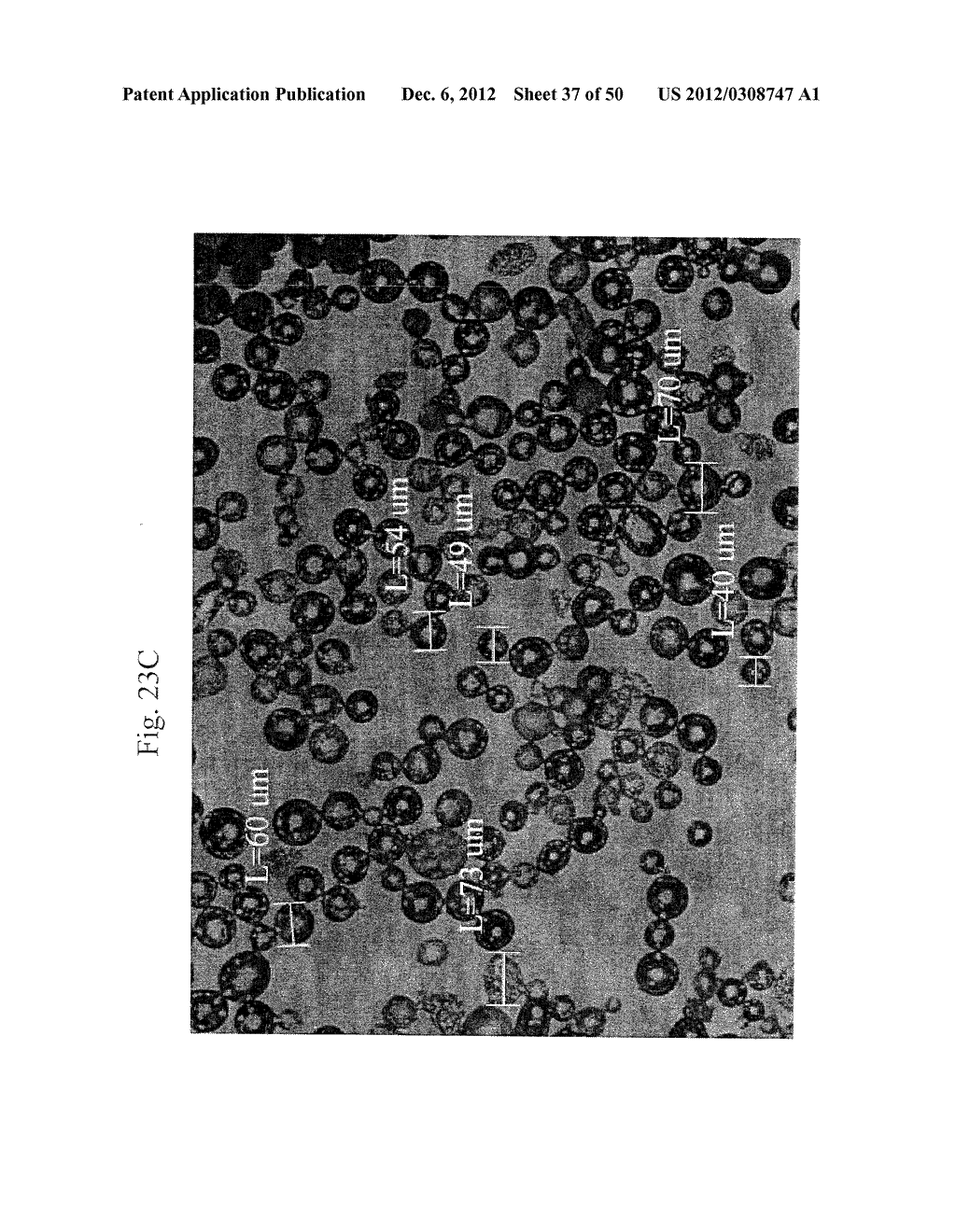 COEFFICIENT OF THERMAL EXPANSION FILLER FOR VANADIUM-BASED FRIT MATERIALS     AND/OR METHODS OF MAKING AND/OR USING THE SAME - diagram, schematic, and image 38