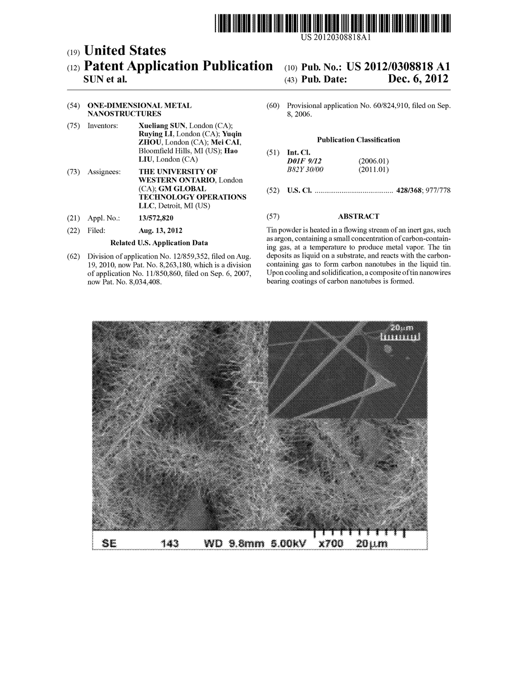 ONE-DIMENSIONAL METAL NANOSTRUCTURES - diagram, schematic, and image 01