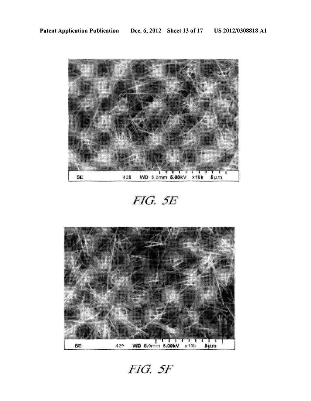 ONE-DIMENSIONAL METAL NANOSTRUCTURES - diagram, schematic, and image 14