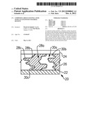 COMPOSITE ARTICLE HAVING LAYER WITH CO-CONTINUOUS MATERIAL REGIONS diagram and image