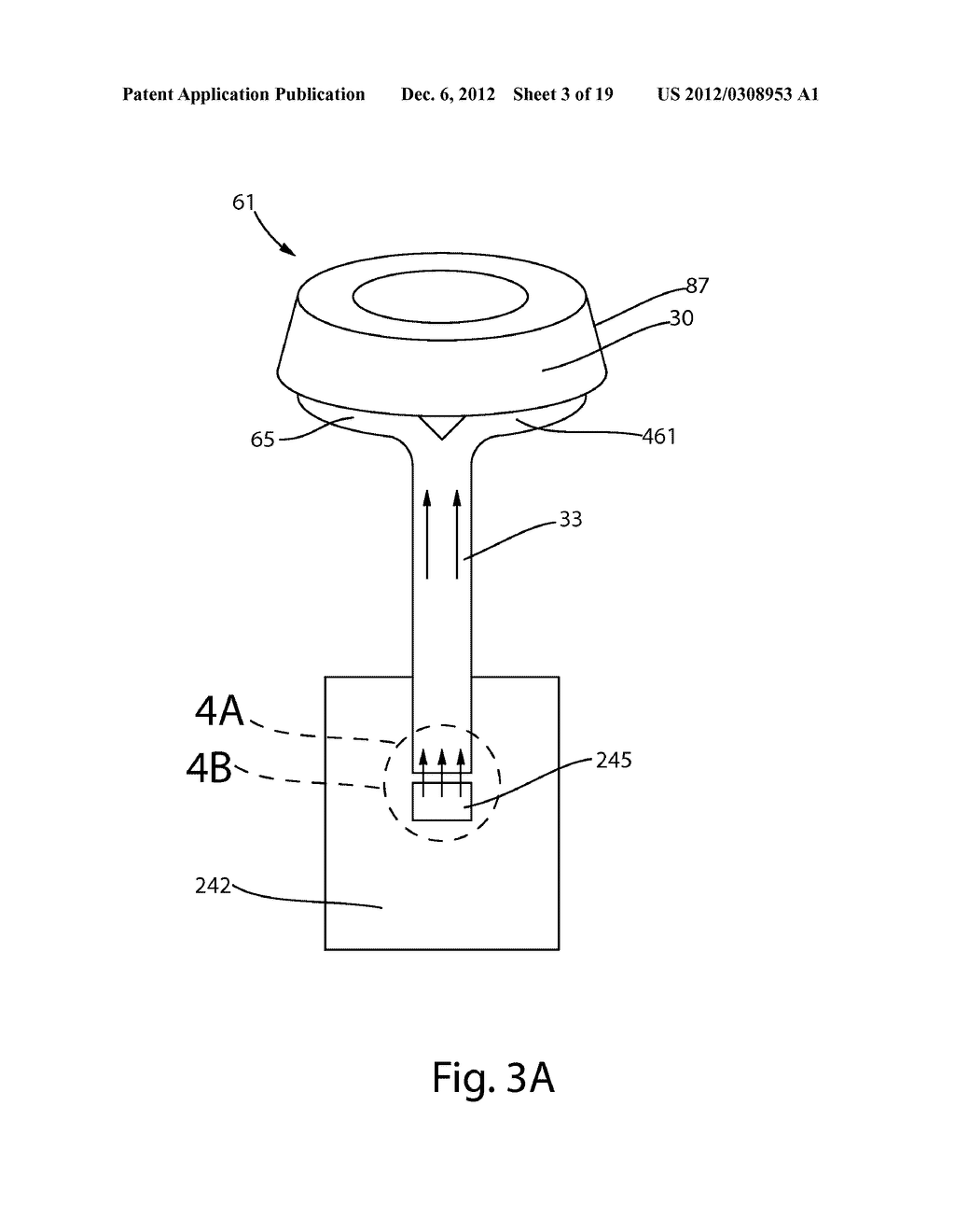 ORAL HYGIENE IMPLEMENT - diagram, schematic, and image 04