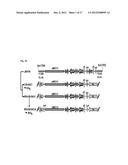 VACCINIA VIRUS MUTANTS CONTAINING THE MAJOR GENOMIC DELETIONS OF MVA diagram and image