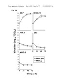 VACCINIA VIRUS MUTANTS CONTAINING THE MAJOR GENOMIC DELETIONS OF MVA diagram and image