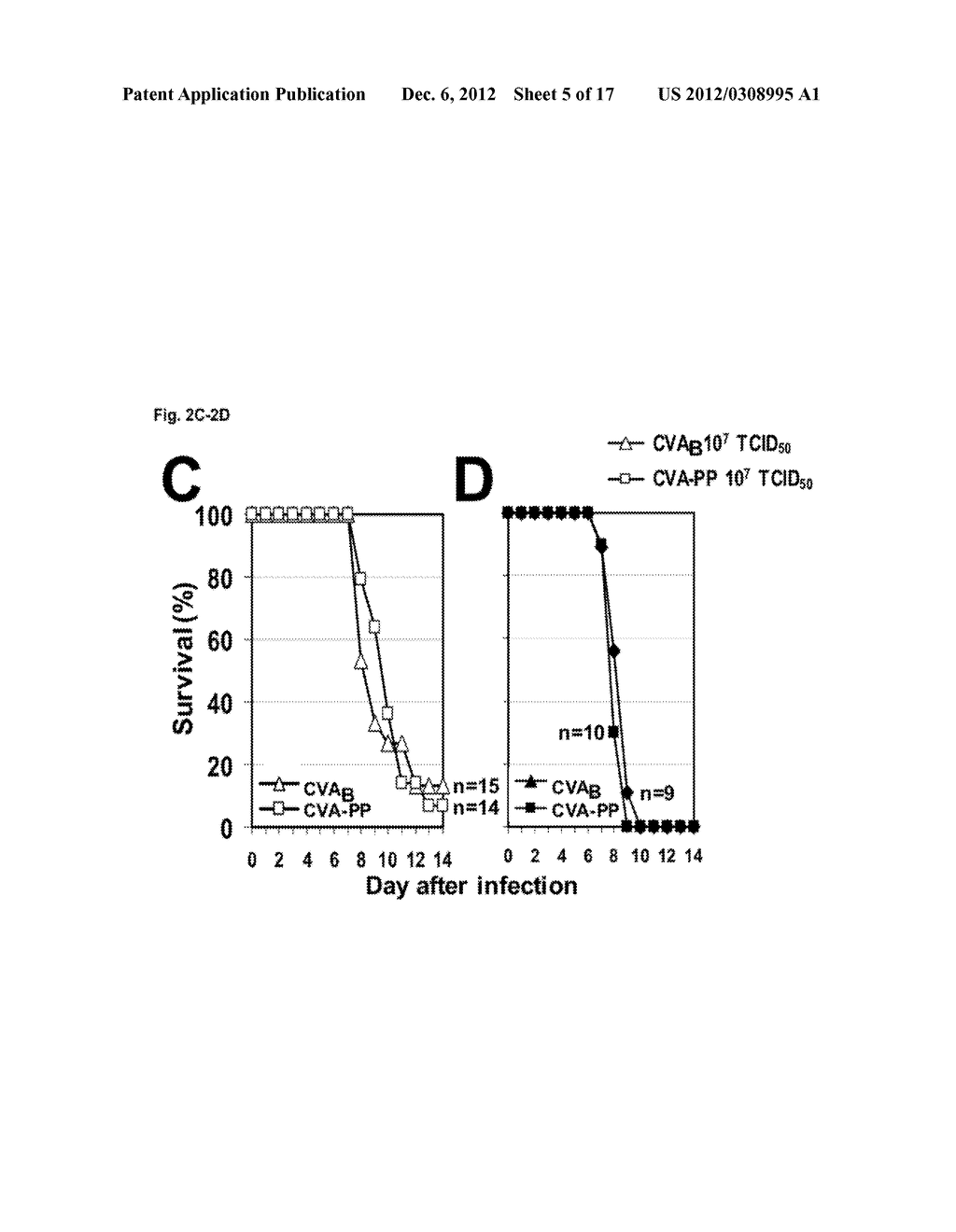 VACCINIA VIRUS MUTANTS CONTAINING THE MAJOR GENOMIC DELETIONS OF MVA - diagram, schematic, and image 06