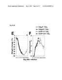 VACCINIA VIRUS MUTANTS CONTAINING THE MAJOR GENOMIC DELETIONS OF MVA diagram and image