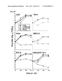 VACCINIA VIRUS MUTANTS CONTAINING THE MAJOR GENOMIC DELETIONS OF MVA diagram and image