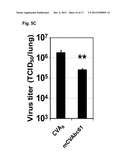 VACCINIA VIRUS MUTANTS CONTAINING THE MAJOR GENOMIC DELETIONS OF MVA diagram and image