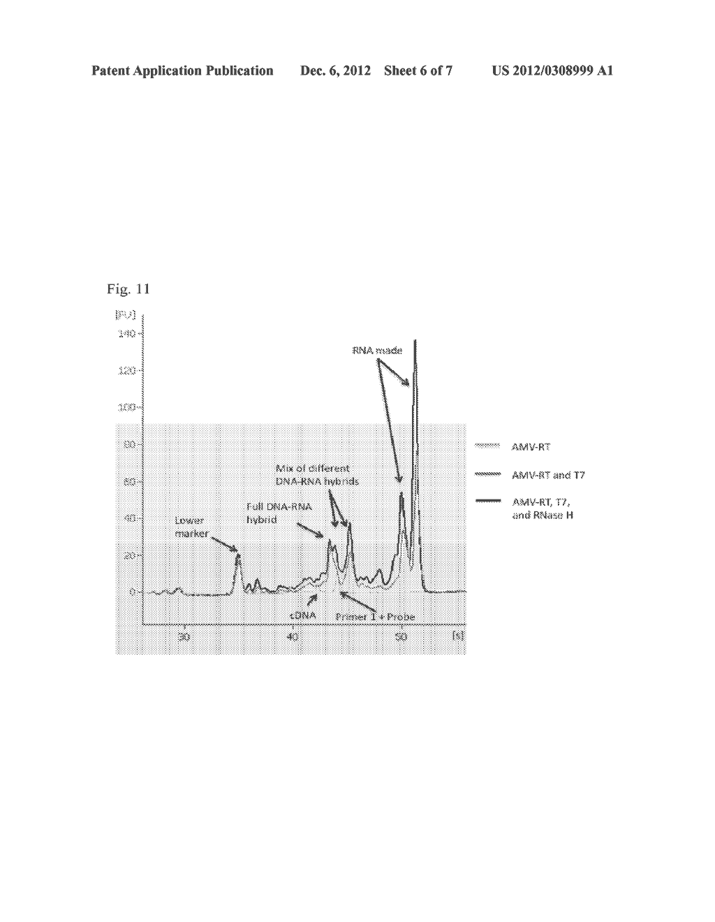 DETECTION OF SHORT RNA SEQUENCES - diagram, schematic, and image 07