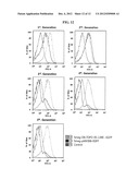 MYCOBACTERIA-DERIVED DNA MISMATCH REPAIR NUCLEOTIDE SEQUENCES AND USES     THEREOF diagram and image