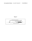 SPECIFIC METHOD OF PROSTATE CANCER DETECTION BASED ON PCA3 GENE, AND KITS     THEREFOR diagram and image