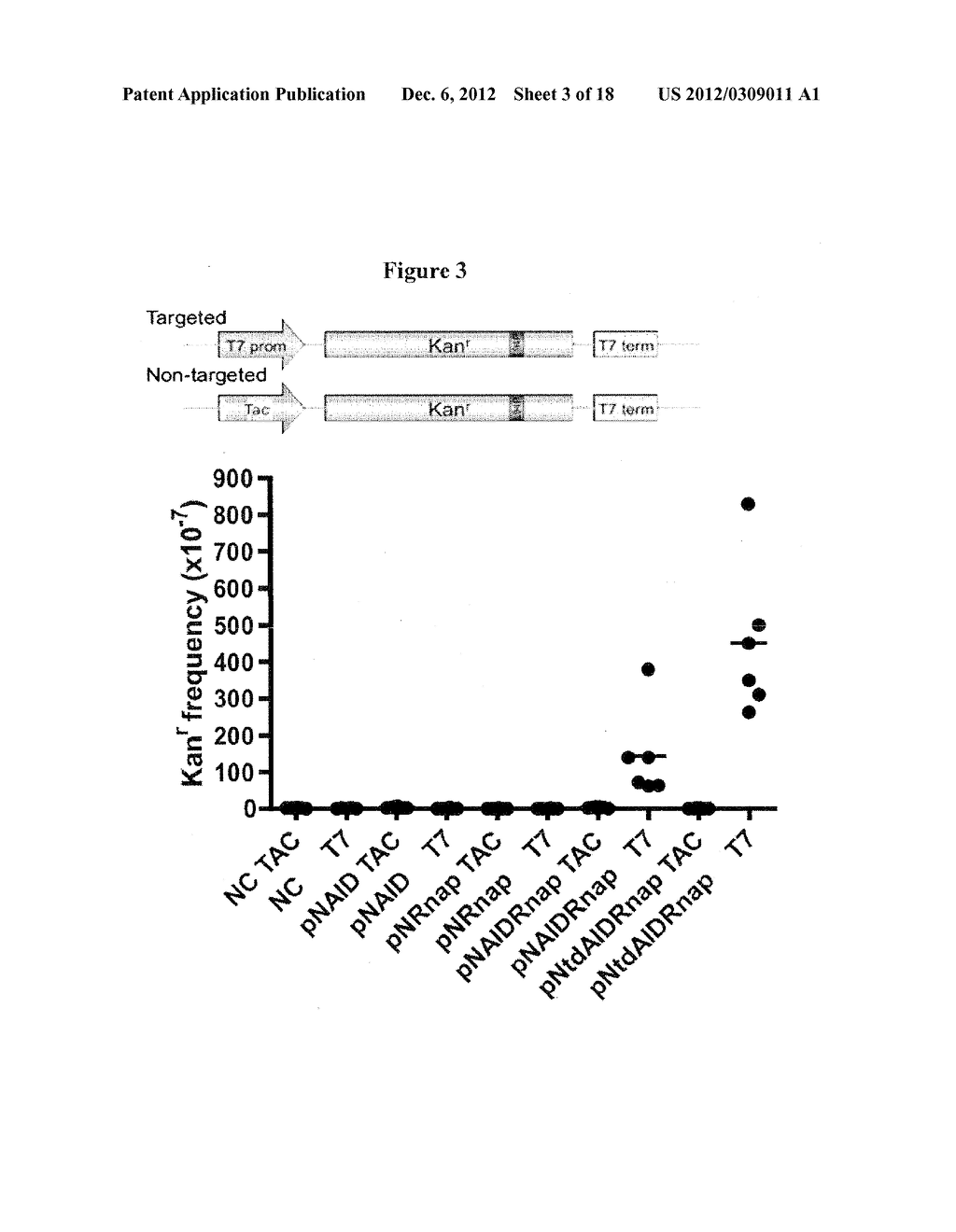 TARGETING OF MODIFYING ENZYMES FOR PROTEIN EVOLUTION - diagram, schematic, and image 04