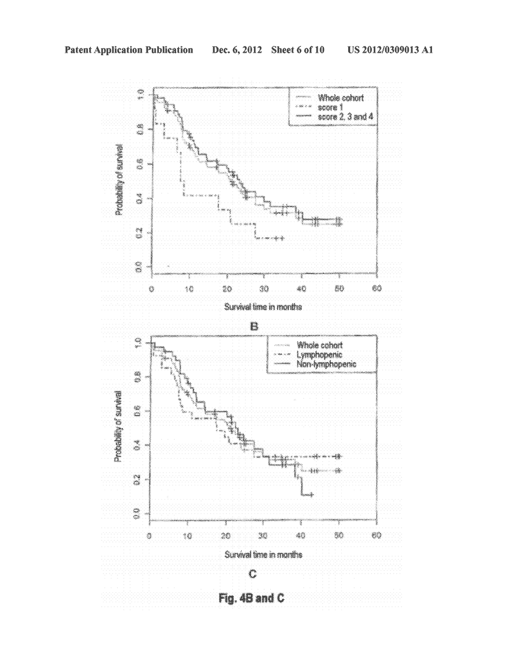 Use of the Combinatorial Diversity of T-Lymphocyte Repertoire as a     Prognostic Marker of Cancer - diagram, schematic, and image 07