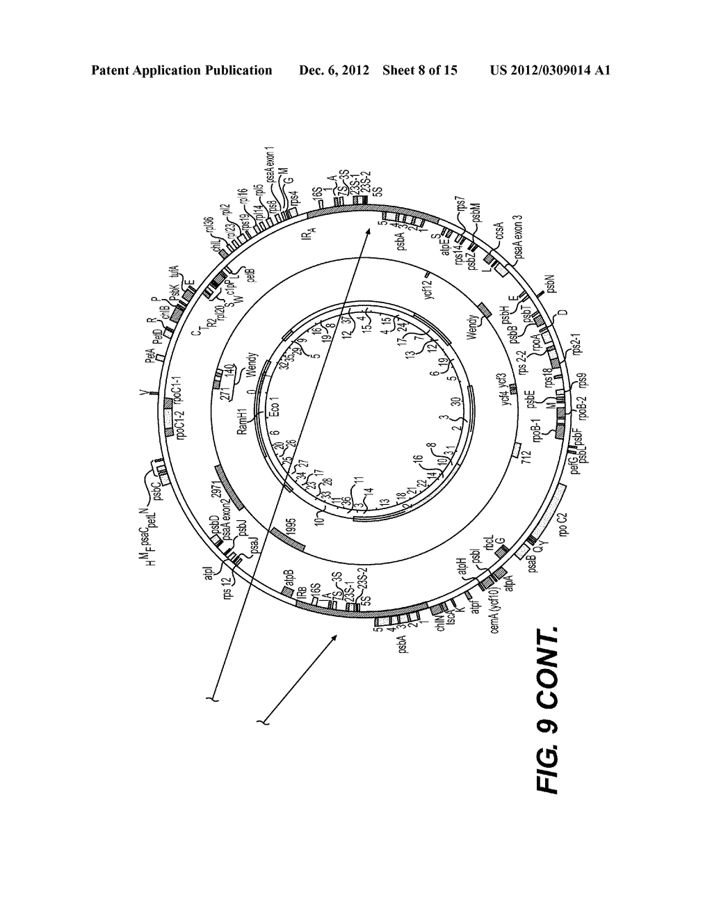 HIGH THROUGHPUT SCREENING OF GENETICALLY MODIFIED PHOTOSYNTHETIC ORGANISMS - diagram, schematic, and image 09