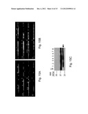 HIGH THROUGHPUT SCREENING OF GENETICALLY MODIFIED PHOTOSYNTHETIC ORGANISMS diagram and image