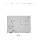 DETECTION OF UNHEALTHY BONE MARROW-DERIVED CELL FOR DISEASE     PREDISPOSITIONS diagram and image