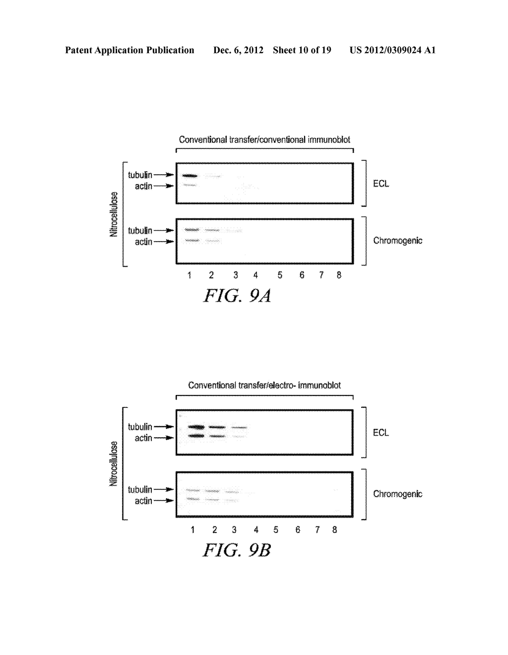 Electrophoretically Enhanced Detection of Analytes on a Solid Support - diagram, schematic, and image 11