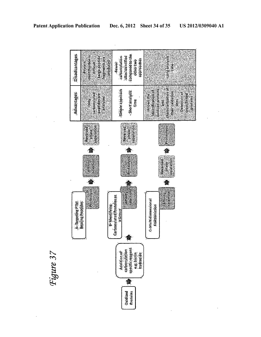 DETECTION OF OXIDIZED POLYPEPTIDES - diagram, schematic, and image 35