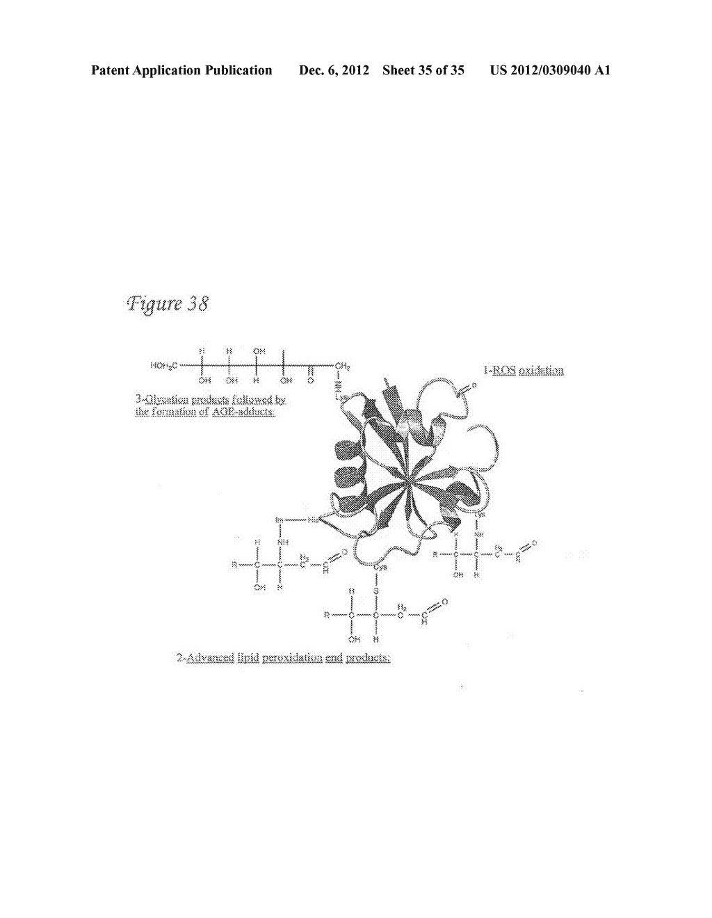 DETECTION OF OXIDIZED POLYPEPTIDES - diagram, schematic, and image 36