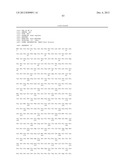 COMPOSITIONS AND METHODS FOR PREPARING RECOMBINANT MG53 AND METHODS FOR     OPTIMIZING SAME diagram and image