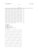 COMPOSITIONS AND METHODS FOR PREPARING RECOMBINANT MG53 AND METHODS FOR     OPTIMIZING SAME diagram and image