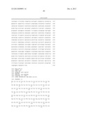 COMPOSITIONS AND METHODS FOR PREPARING RECOMBINANT MG53 AND METHODS FOR     OPTIMIZING SAME diagram and image