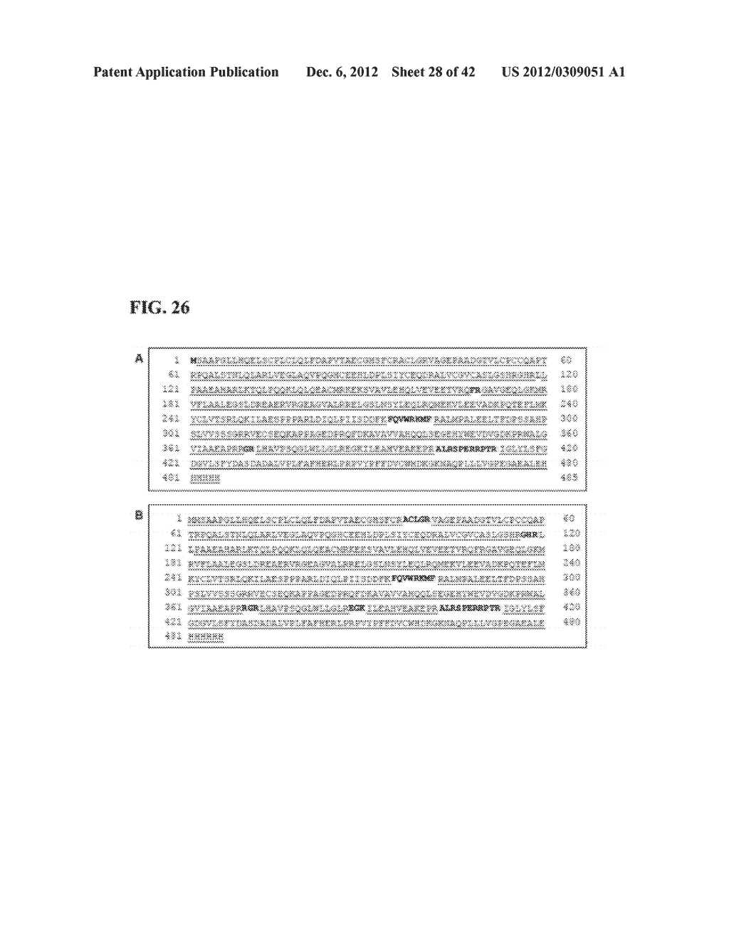 COMPOSITIONS AND METHODS FOR PREPARING RECOMBINANT MG53 AND METHODS FOR     OPTIMIZING SAME - diagram, schematic, and image 29