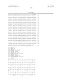 COMPOSITIONS AND METHODS FOR PREPARING RECOMBINANT MG53 AND METHODS FOR     OPTIMIZING SAME diagram and image