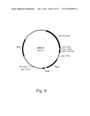 Polypeptides Having Endoglucanase Activity And Polynucleotides Encoding     Same diagram and image