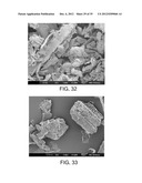 Processing Biomass diagram and image