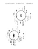 MUTANT DELTA-5 DESATURASES MUTATED IN THE HEME-BINDING MOTIF (HPGG) AND     THEIR USE IN MAKING POLYUNSATURATED FATTY ACIDS diagram and image