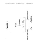 GENERATION OF HYDROGEN FROM HYDROCARBON BEARING MATERIALS diagram and image