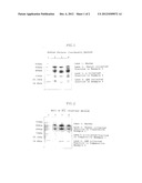 METHOD FOR PURIFYING PROTEIN AND GLUCOSE DEHYDROGENASE diagram and image