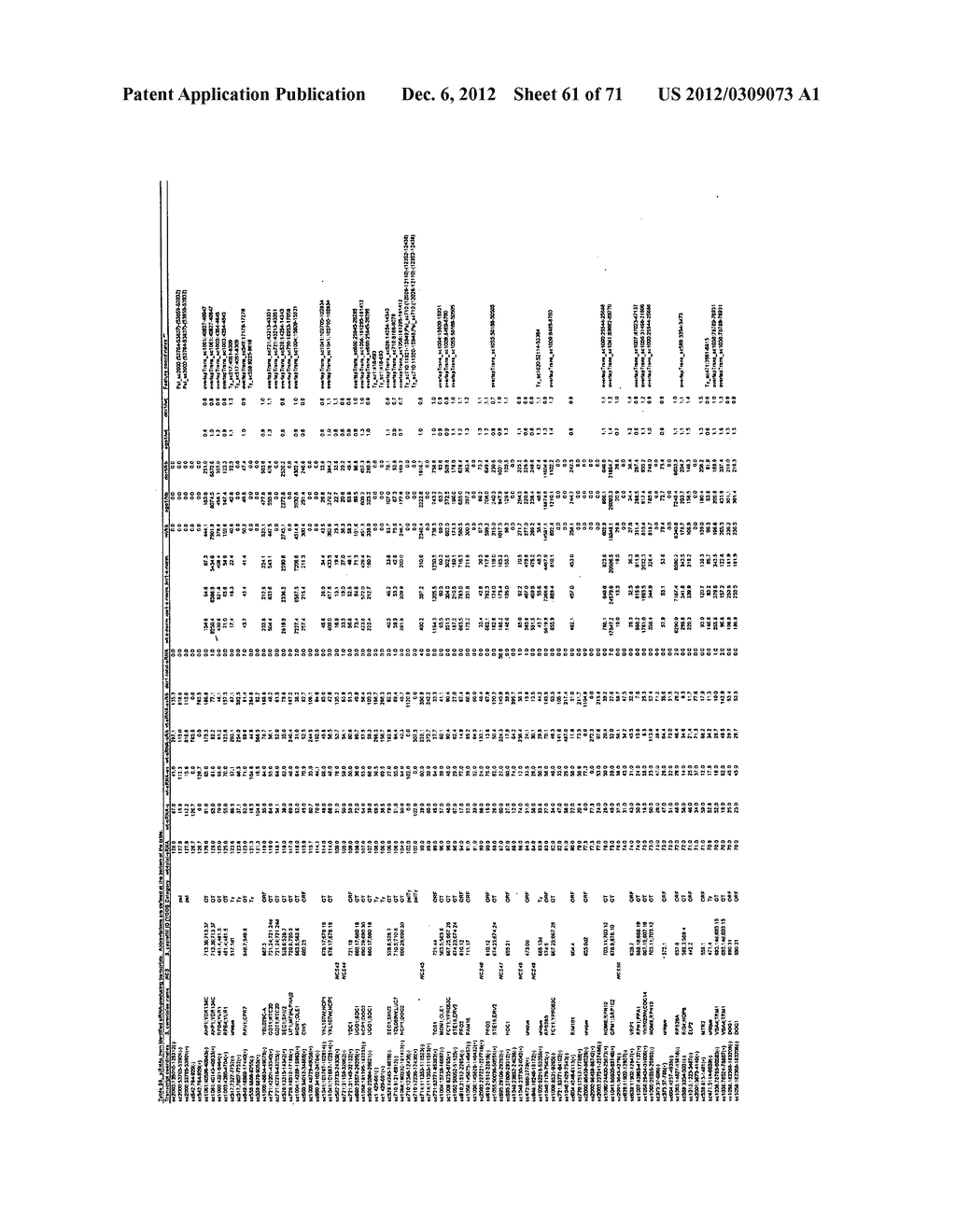 RNAI IN BUDDING YEAST - diagram, schematic, and image 62