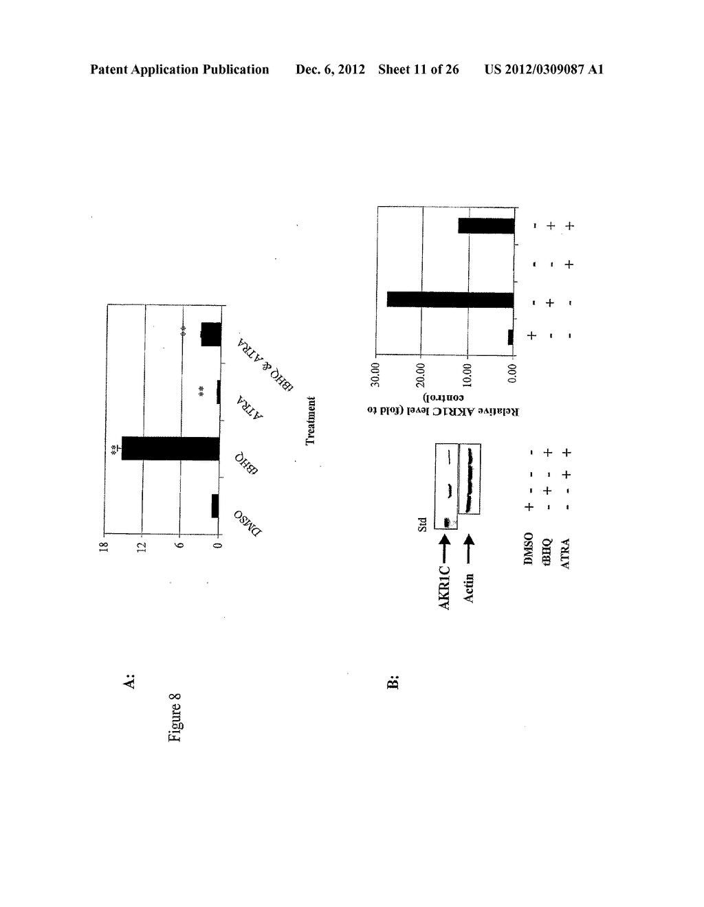 CANCER THERAPY - diagram, schematic, and image 12