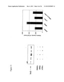 CANCER THERAPY diagram and image