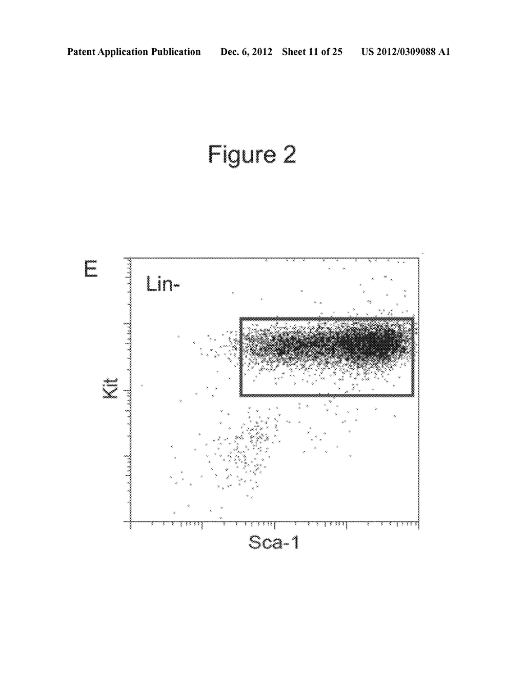 METHODS AND COMPOSITIONS FOR STEM CELL SELF-RENEWAL - diagram, schematic, and image 12