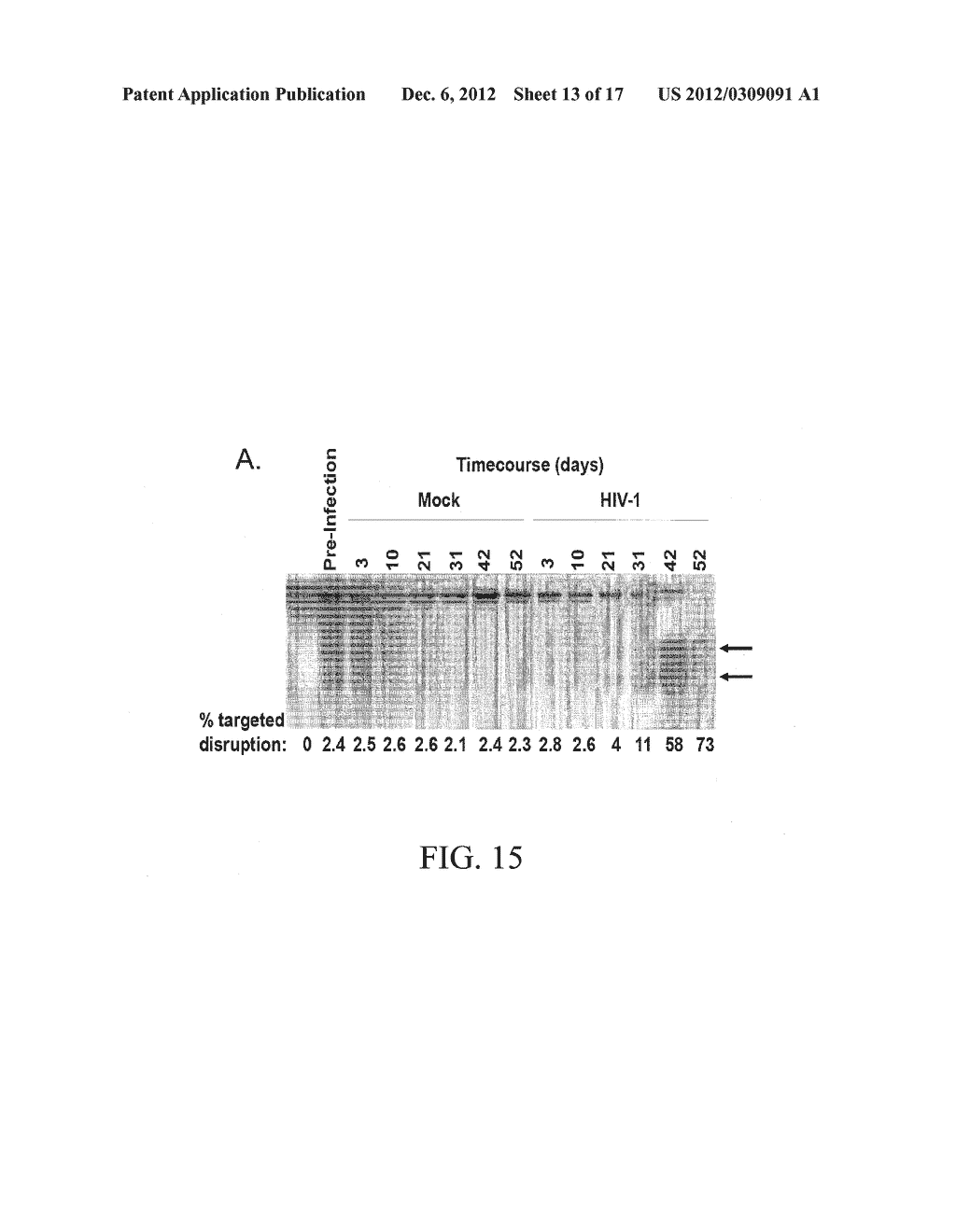 Methods And Compositions For Gene Inactivation - diagram, schematic, and image 14