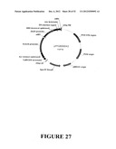 Angiogenin Expression in Plants diagram and image