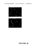 Angiogenin Expression in Plants diagram and image