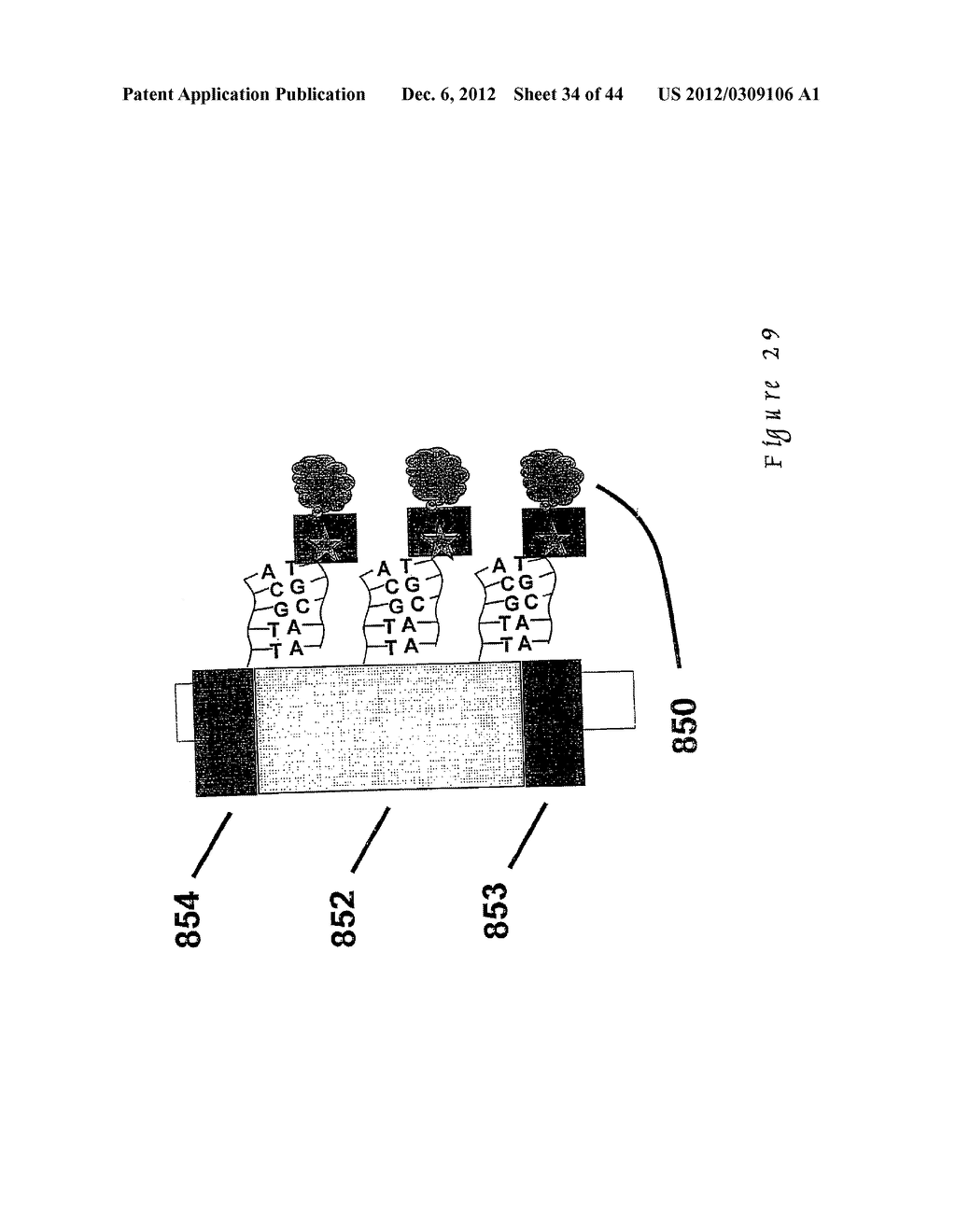 DETECTION OF A TARGET IN A SAMPLE - diagram, schematic, and image 35