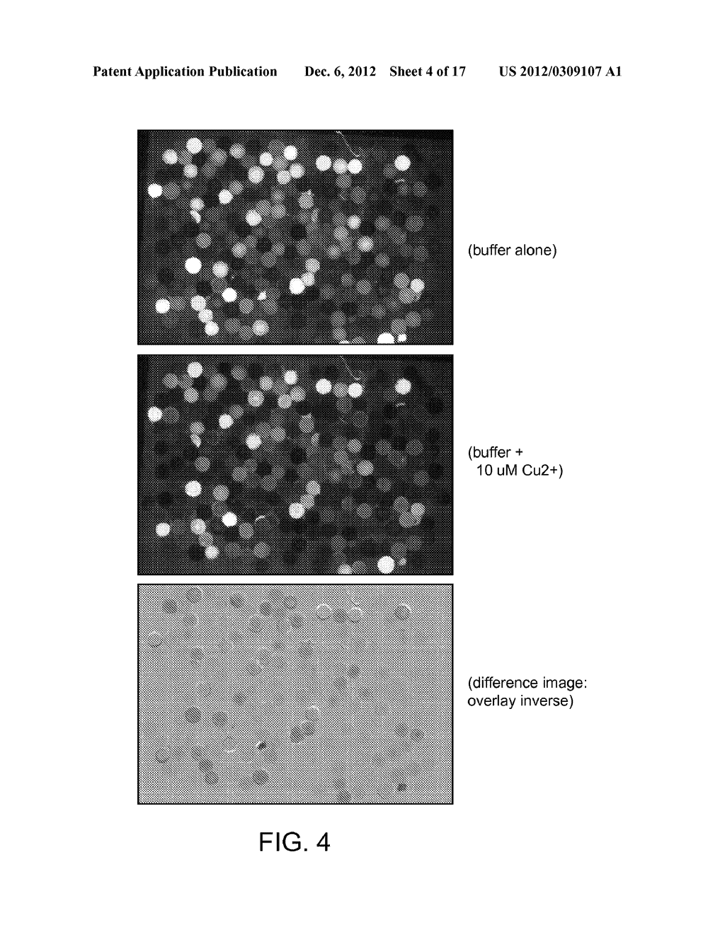 Direct Sensing of Molecular Species by Polyfluors on a DNA Backbone - diagram, schematic, and image 05