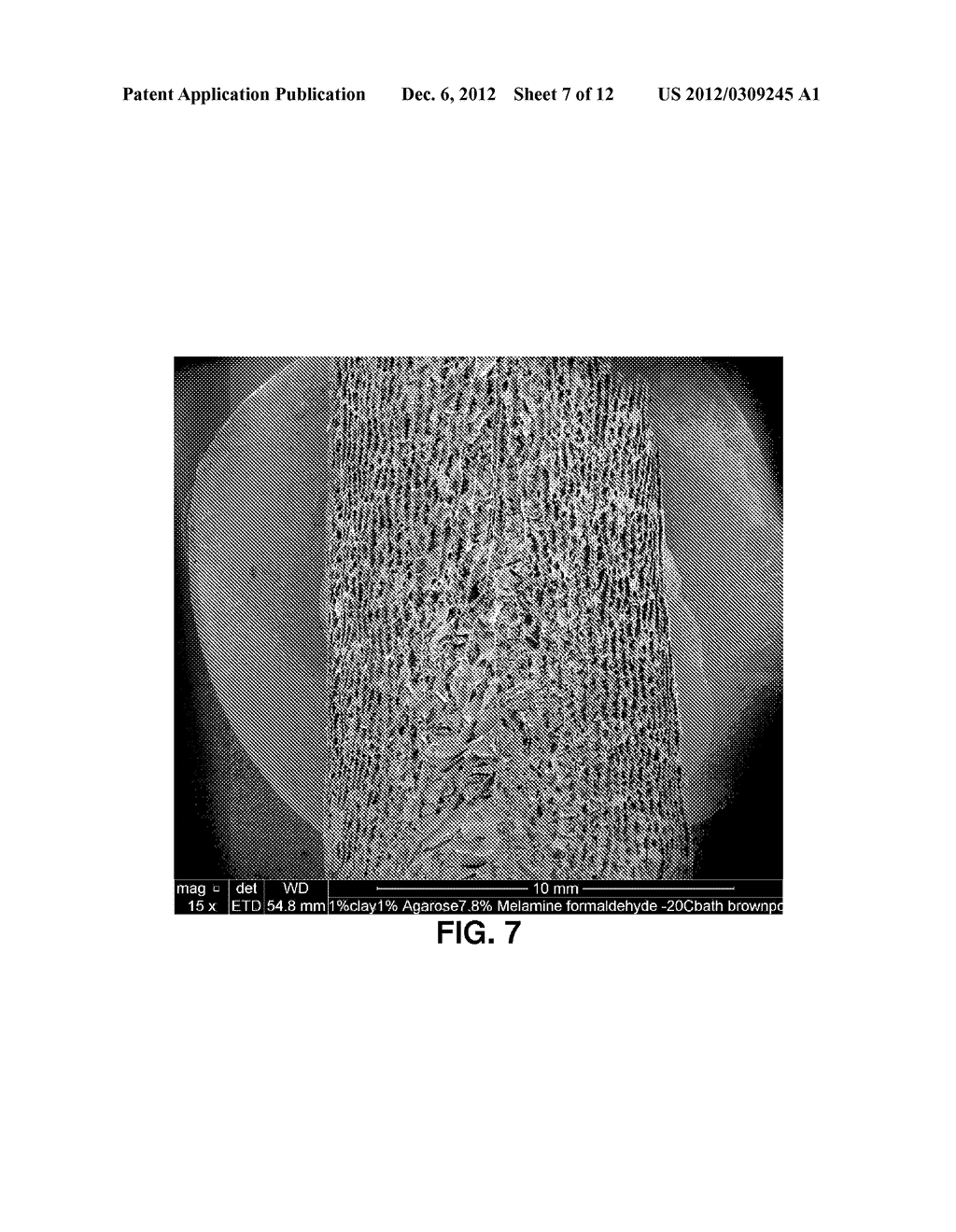 POROUS, LOW DENSITY NANOCLAY COMPOSITE - diagram, schematic, and image 08