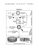 BIOACTIVE AGENT DELIVERY PARTICLES diagram and image