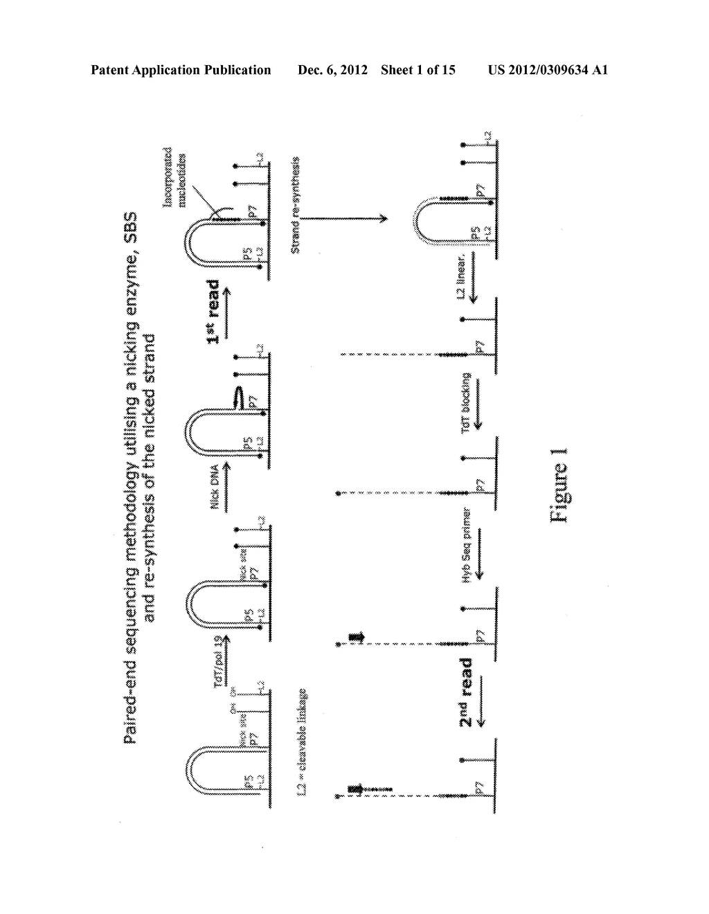 METHOD FOR PAIRWISE SEQUENCING OF TARGET POLYNUCLEOTIDES - diagram, schematic, and image 02